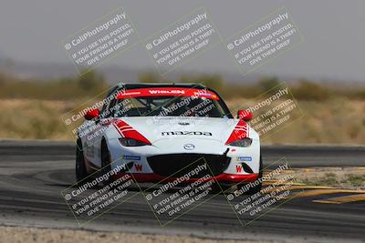 media/Mar-30-2025-Pro Autosports (Sun) [[34ff8f16e0]]/5-Green Group/Session 3 (Turn 15)/